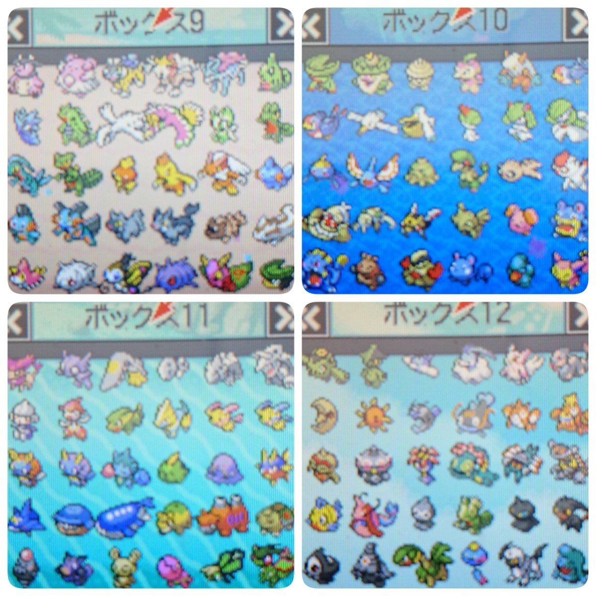 Paypayフリマ V6 配信 伝説 ポケットモンスター ホワイト Paypayフリマ V6 配信 伝説 ポケットモンスター ホワイト