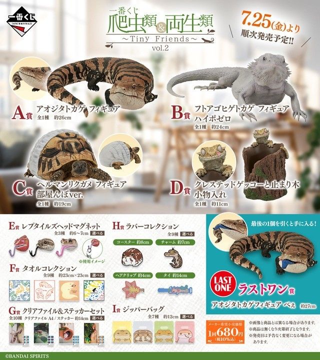 一番くじ 爬虫類&両生類 フィギュア コンプリートセット 一番くじ 爬虫類&両生類 フィギュア コンプリートセット|Yahoo