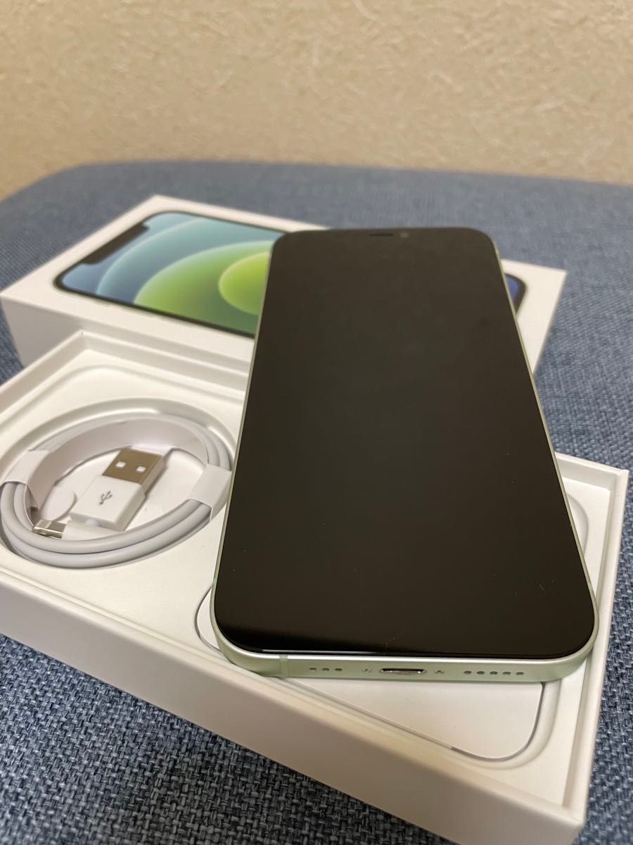 【バッテリー100%】 iPhone12 256GB グリーン iPhone12グリーン256GBバッテリー100% SIMフリー 残債 ペット
