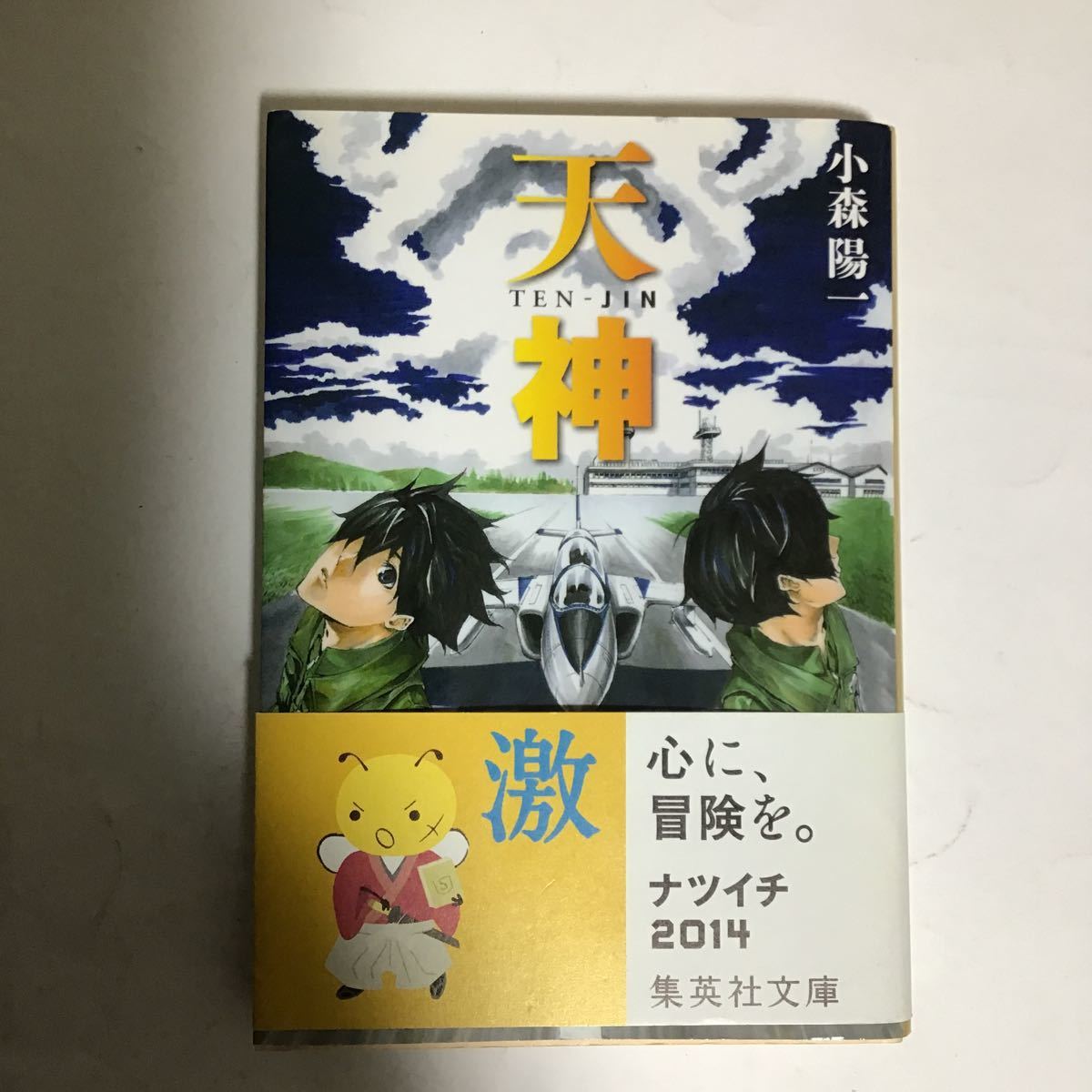 小森陽一の値段と価格推移は 179件の売買情報を集計した小森陽一の価格や価値の推移データを公開