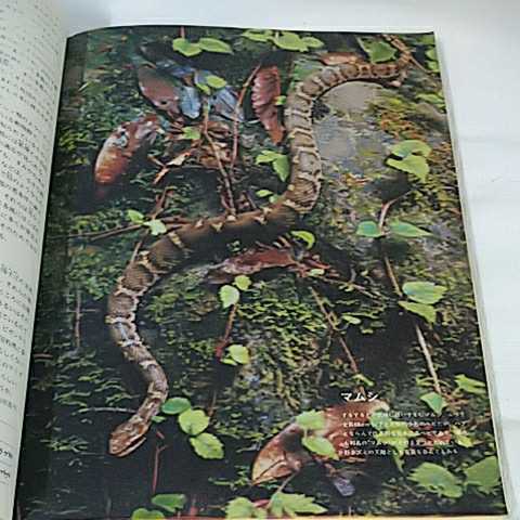計24冊 動物の世界 アニマルライフ デラックス 大自然に息づく生命の記録 学習 自然虫 生き物全般 図鑑_画像9