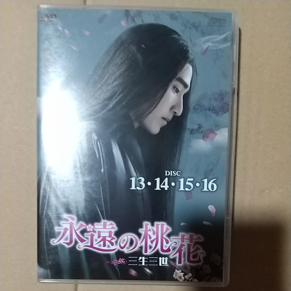 永遠の桃花~三生三世~DVD-BOX2 （9枚組）DVD