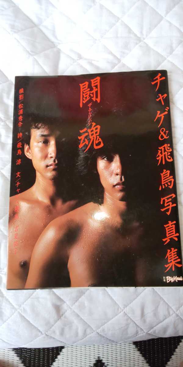 チャゲ&飛鳥 写真集 闘魂~ザ・チャレンジ~ 昭和57年発行 チャゲ&飛鳥 写真集 闘魂~ザ・チャレンジ~ 昭和57年発行