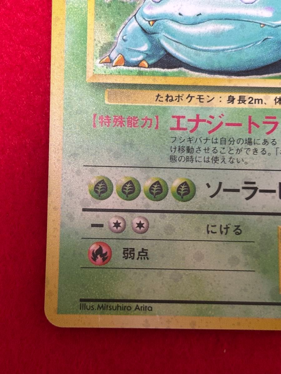 旧裏 ポケモンカード フシギバナ(全面微ホロ) 全面弱ホロ】 ポケモンカード フシギバナ 旧裏面|Yahoo!フリマ