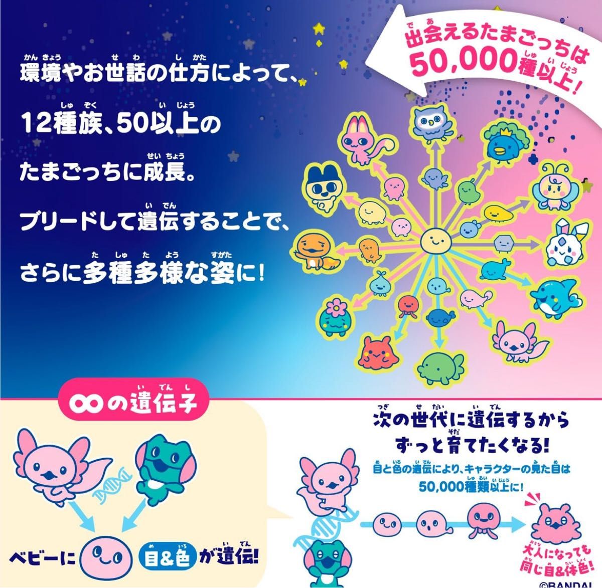 Tamagotchi Paradise 3点セット コンプリートセット バンダイ(BANDAI) Tamagotchi Paradise - たまごっちパラダイス