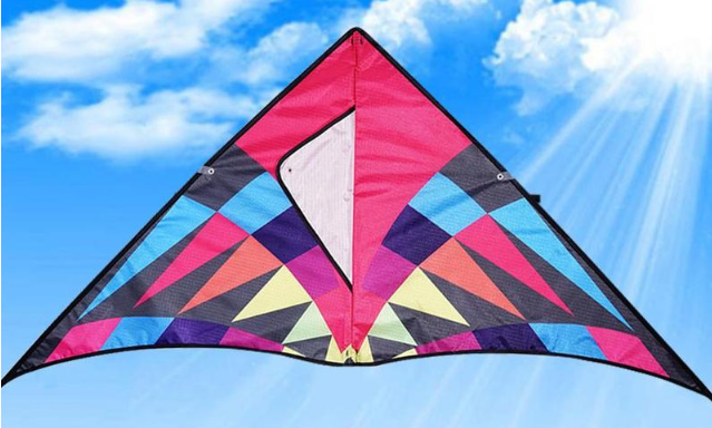S155 triangle sports kite 120. enduring . made polyester material *FRP frame * kite line 30m attaching 