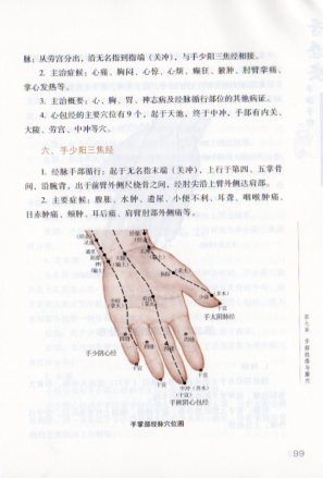 9787537750301　季秦安触診療　漢方治療法　中国語版書籍_画像3