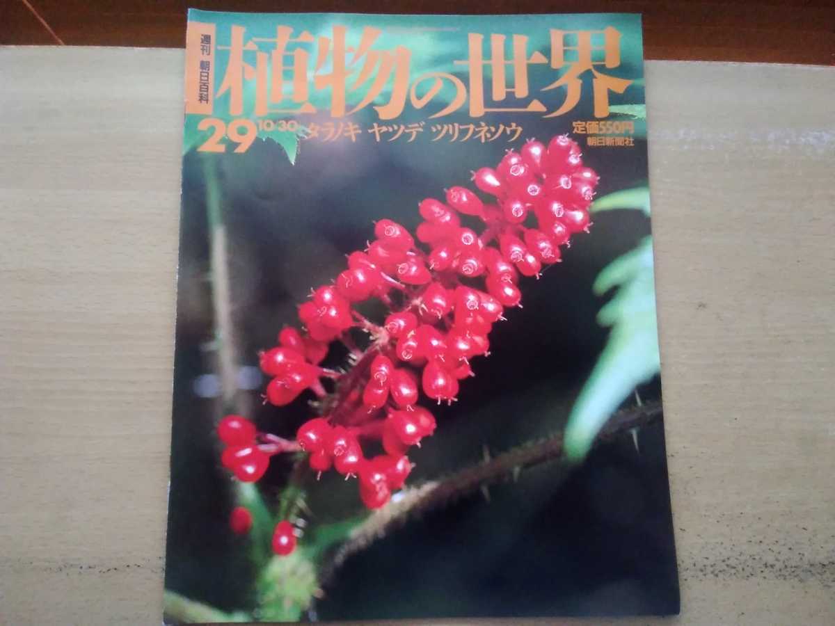 ヤフオク 即決 世界の植物 保存版 タラノキ ウド ヒメウコ ヤフオク 即決 世界の植物 保存版 タラノキ ウド ヒメウコ