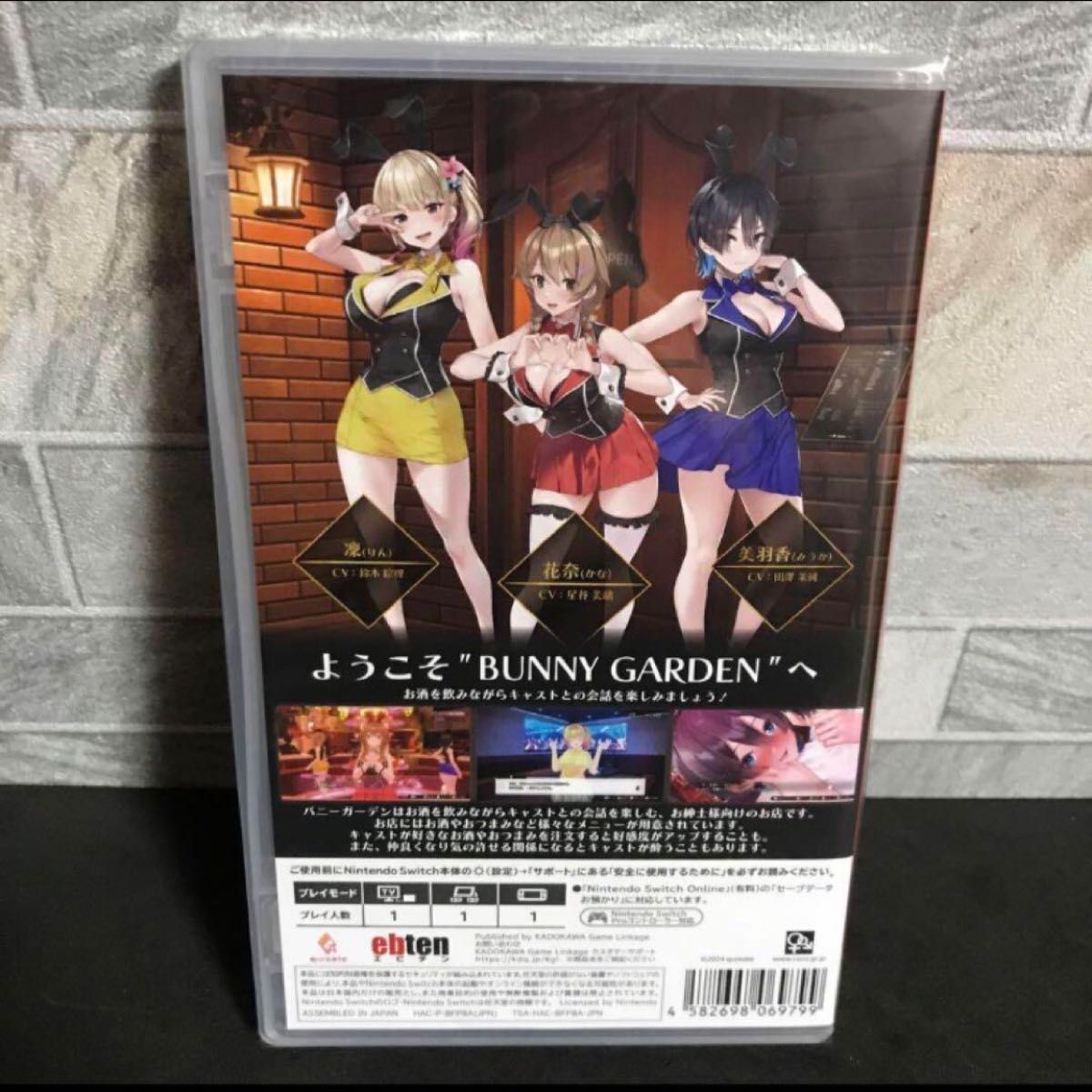 【9/15まで】バニーガーデン Switch【新品未開封】 新品未開封 バニーガーデン Switch 日本語版 NINTENDOSwitch