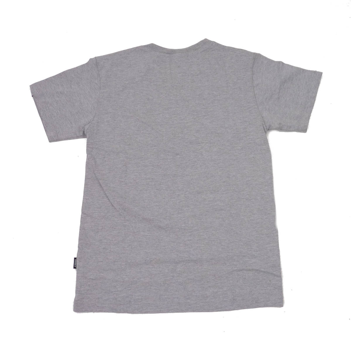 Addict アディクト WILDFLOWER BEATS TEE 半袖 Tシャツ (グレー) (XL) [並行輸入品]