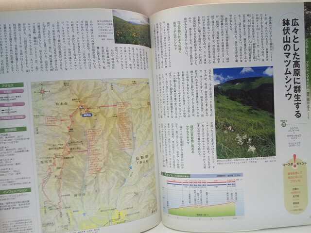 送料無料◆◆週刊花の百名山8 霧ヶ峰 八島湿原 鉢伏山◆◆登山道ルート地図☆長野県諏訪市ヤナギラン 花園アサマフロウ 松本市マツムシソウ