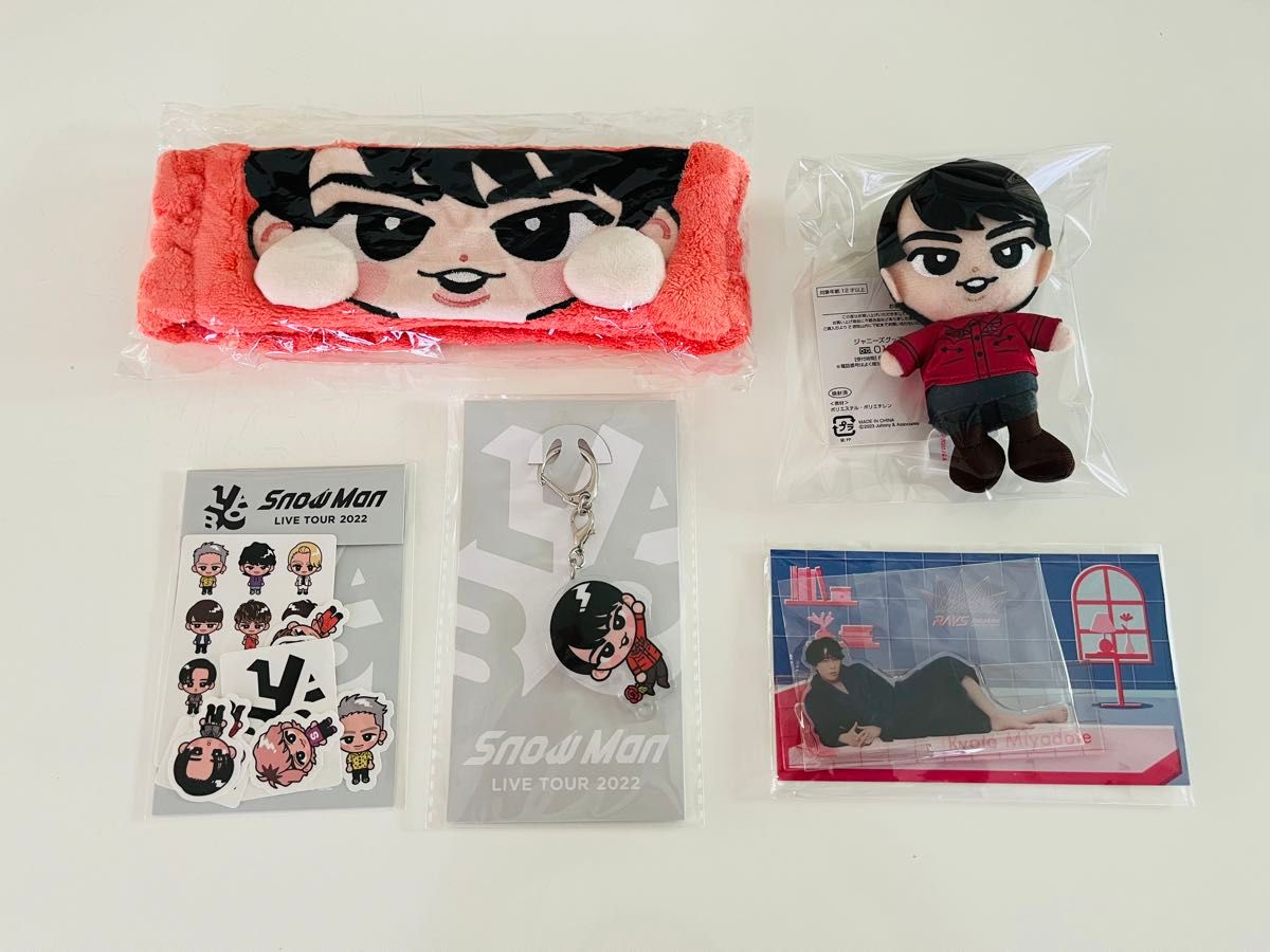SnowMan 宮舘涼太 すのチルヘアバンド アクスタ チケット風カードRAYS 宮舘涼太 すのチル ぬいぐるみ ヘアバンド アクキー ステッカー