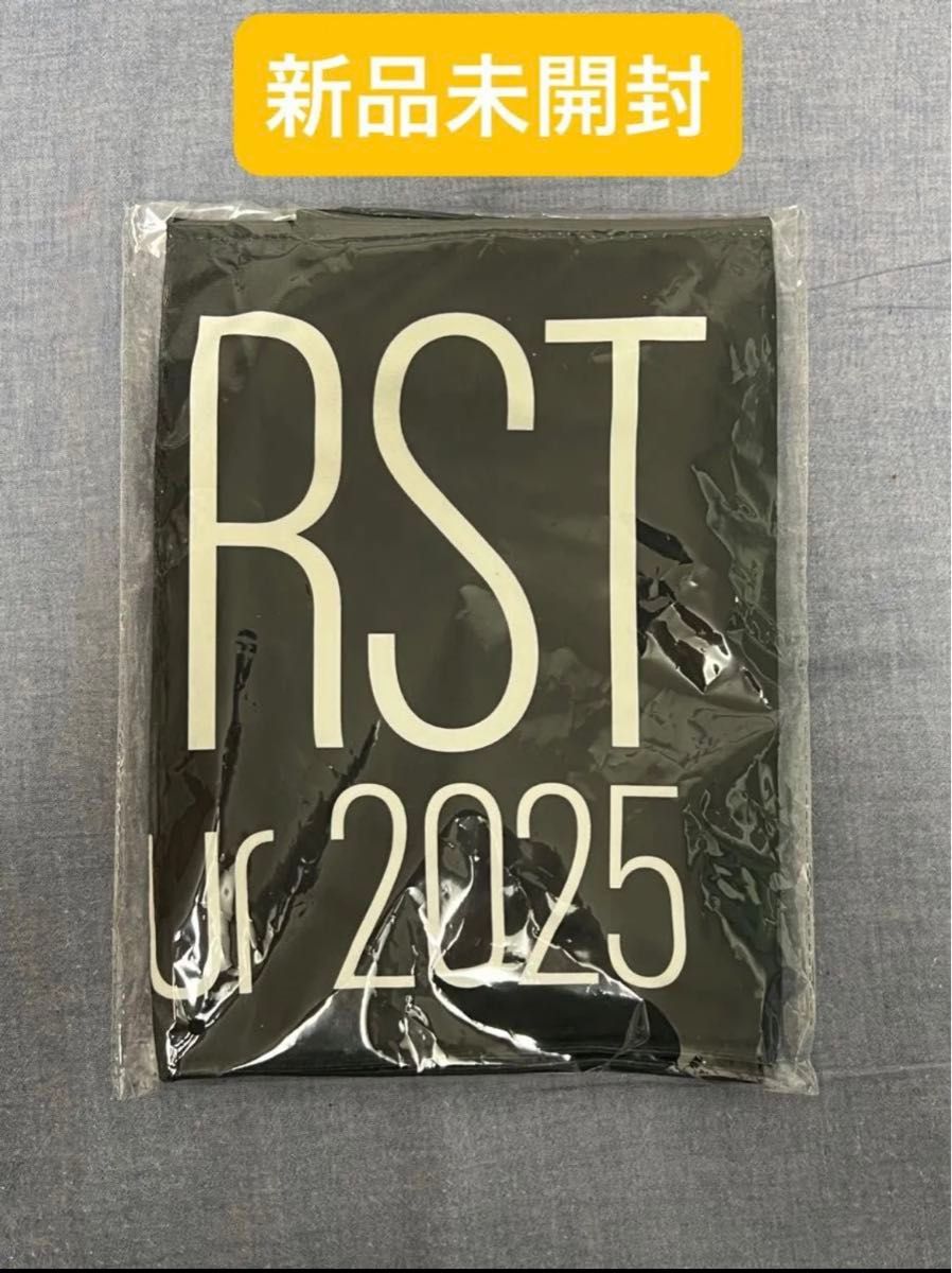 ビーファースト 2025 ワールドツアー タオル&VIPパスセット BE FIRST ワールドツアー タオル BE FIRST World Tour 2025 -Who