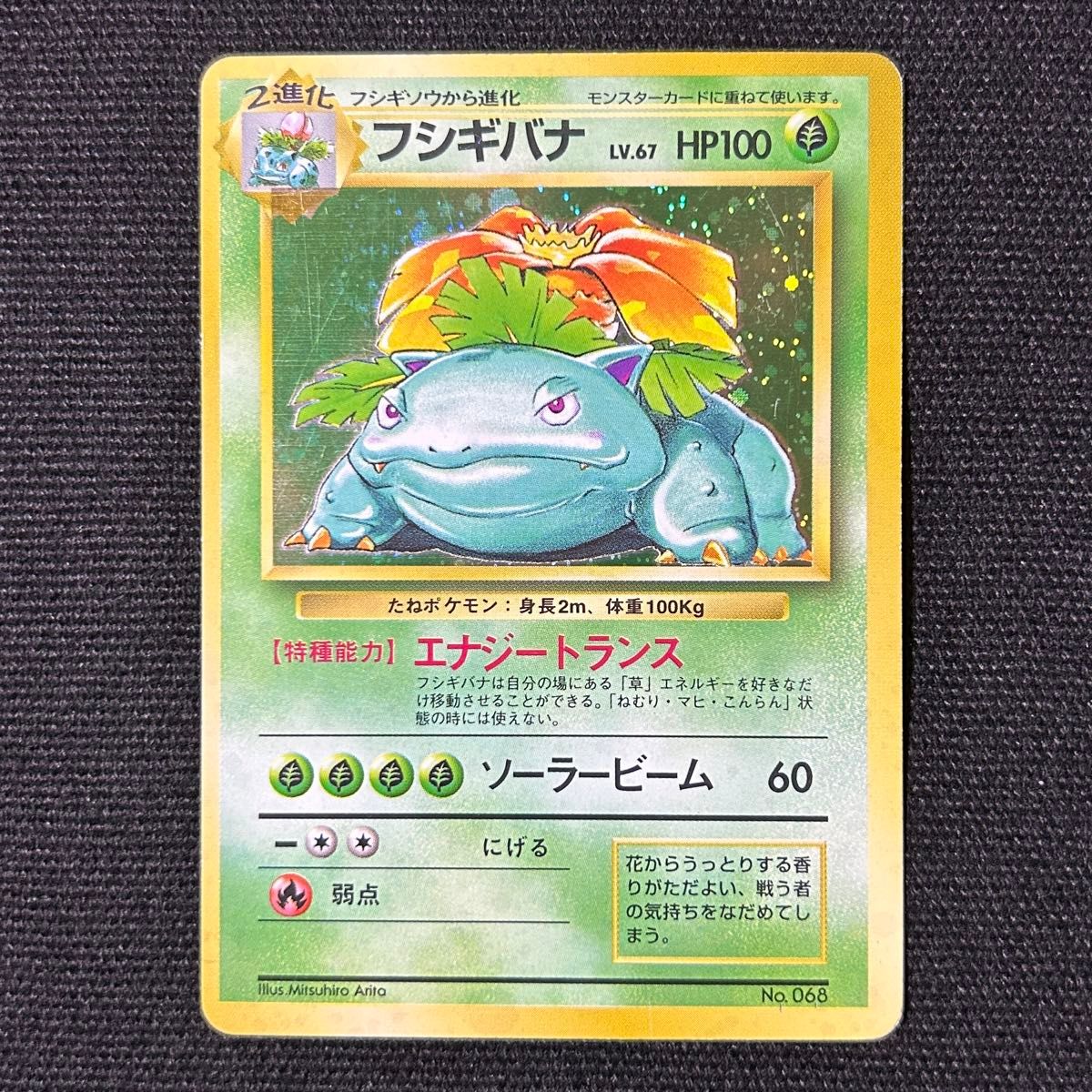 ポケモン フシギバナ 旧裏 初版 マークなし 第1弾拡張パック 渦巻きホロ ポケモン フシギバナ 旧裏 初版 マークなし 第1弾拡張パック