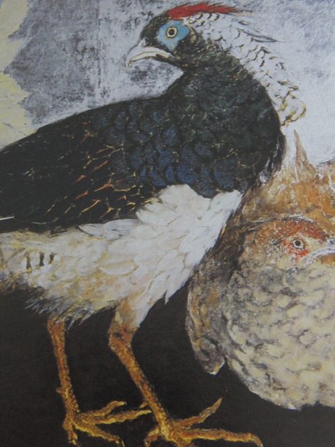 ヤフオク! - 松下宣廉、【銀鶏鳥】、希少な額装用画集より、新品額装付