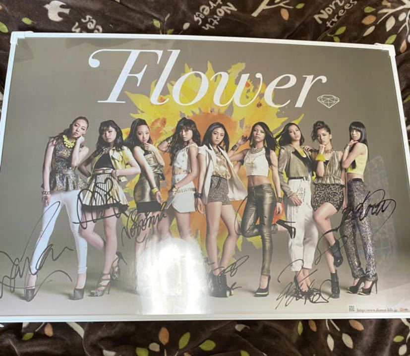 ヤフオク Flower メンバー全員直筆サインポスター