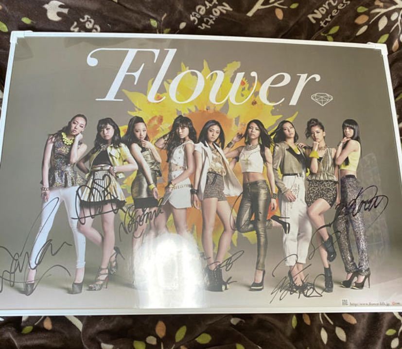 ヤフオク Flower メンバー全員直筆サインポスター ヤフオク Flower メンバー全員直筆サインポスター