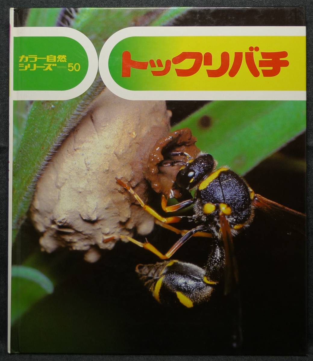 [ super rare ] secondhand book tokli chopsticks color nature series 50 composition : small rice field britain . writing * photograph : Ogawa .( stock ) Kaiseisha 