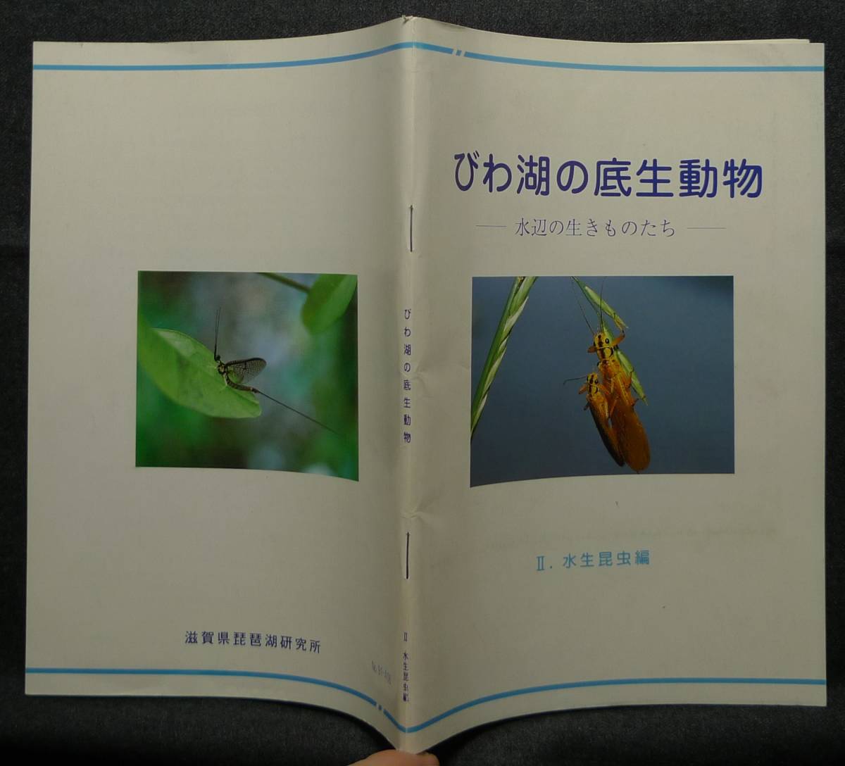 [ super rare ][ beautiful goods ] secondhand book loquat lake. bottom raw animal Ⅱ. aquatic insect compilation - water side raw kimono ..- editing : west . flax .. Shiga prefecture Biwa-ko research place 