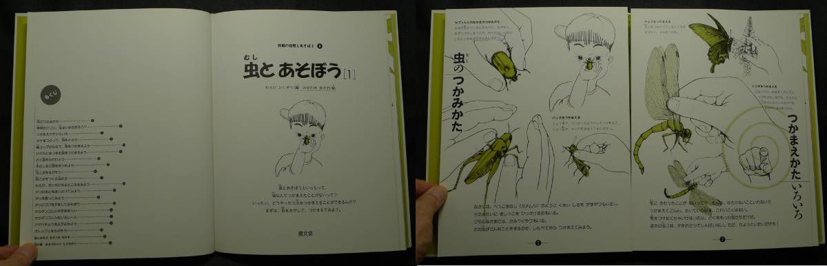 【超希少,２冊セット,初版,美品】古本　虫とあそぼう　［１］＆［２］　校庭の自然とあそぼう　８＆９　へん：やまだたくぞう　農文協_画像3