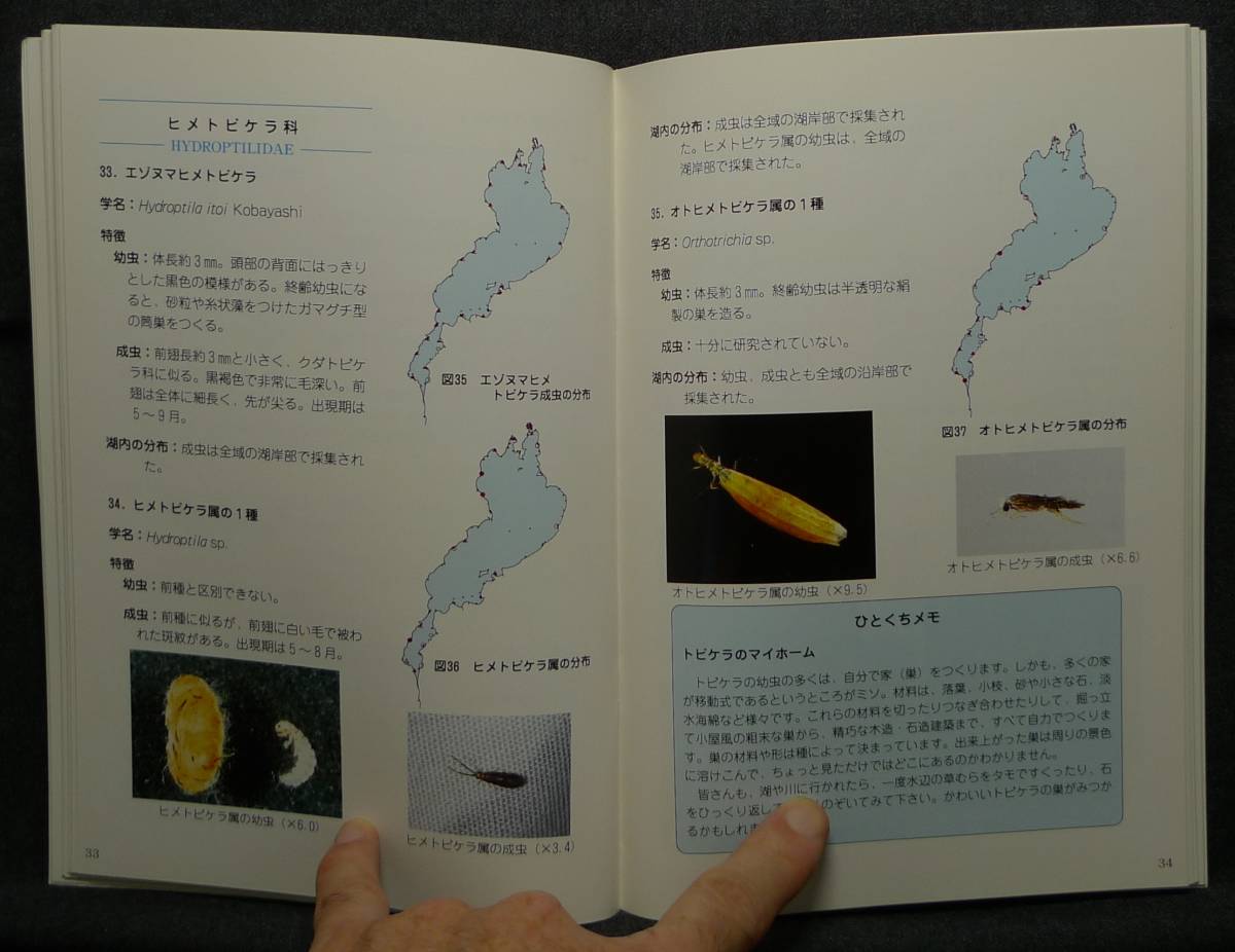 [ super rare ][ beautiful goods ] secondhand book loquat lake. bottom raw animal Ⅱ. aquatic insect compilation - water side raw kimono ..- editing : west . flax .. Shiga prefecture Biwa-ko research place 