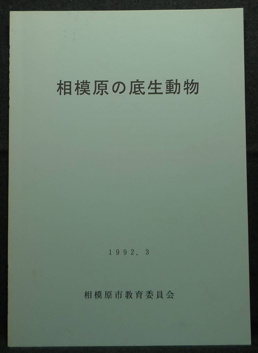 沸騰ブラドン 【超希少】【美品】古本 相模原の底生動物 1992.3 相模原市教育委員会 生物学 沸騰ブラドン 【超希少】【美品】古本 相模原の底生動物 1992.3 相模原市教育委員会 生物学