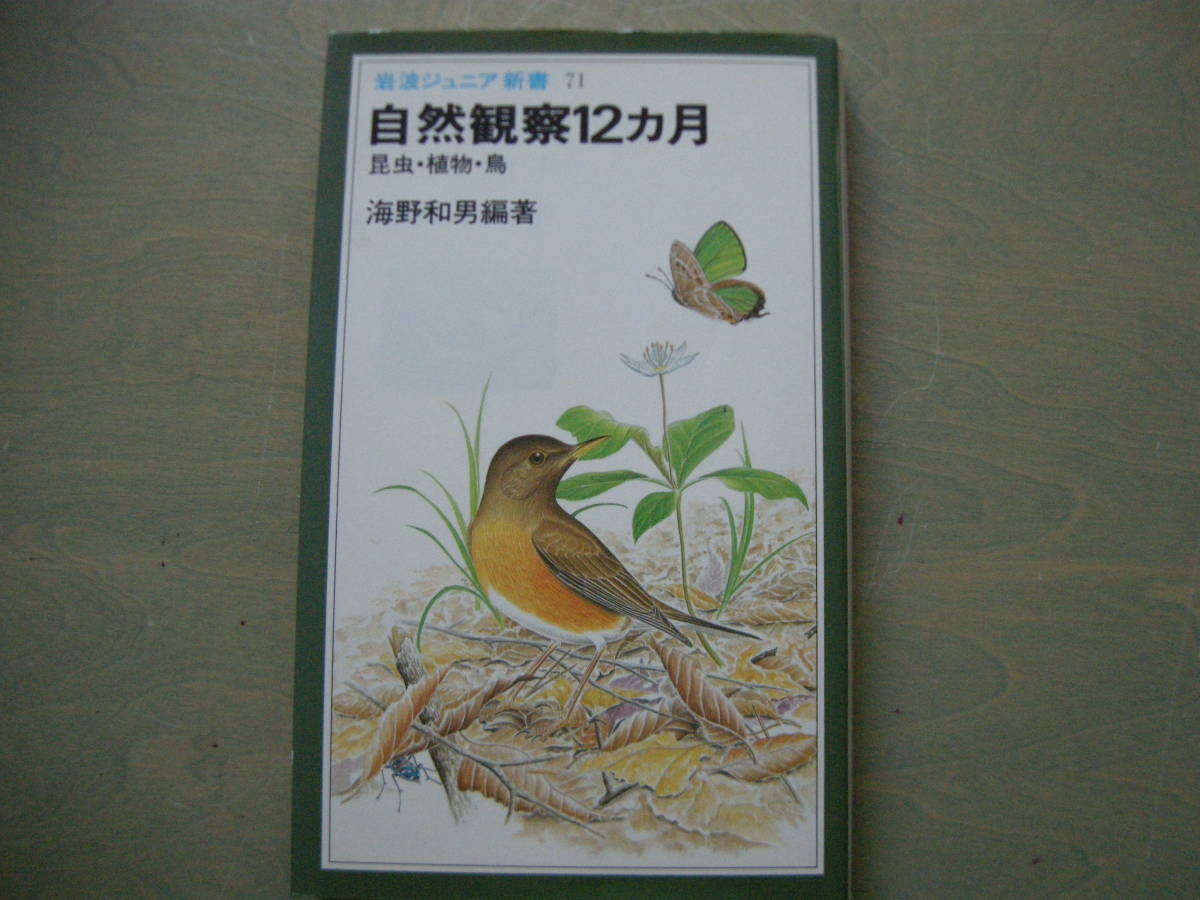  Iwanami Junior new book 71 nature observation 12 months insect * plant * bird sea . peace man 