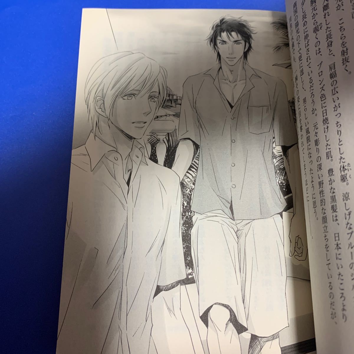Paypayフリマ ヴァージンハネムーンは御曹司と 真宮藍璃 イラスト みずかねりょう Paypayフリマ ヴァージンハネムーンは御曹司と 真宮藍璃 イラスト みずかねりょう