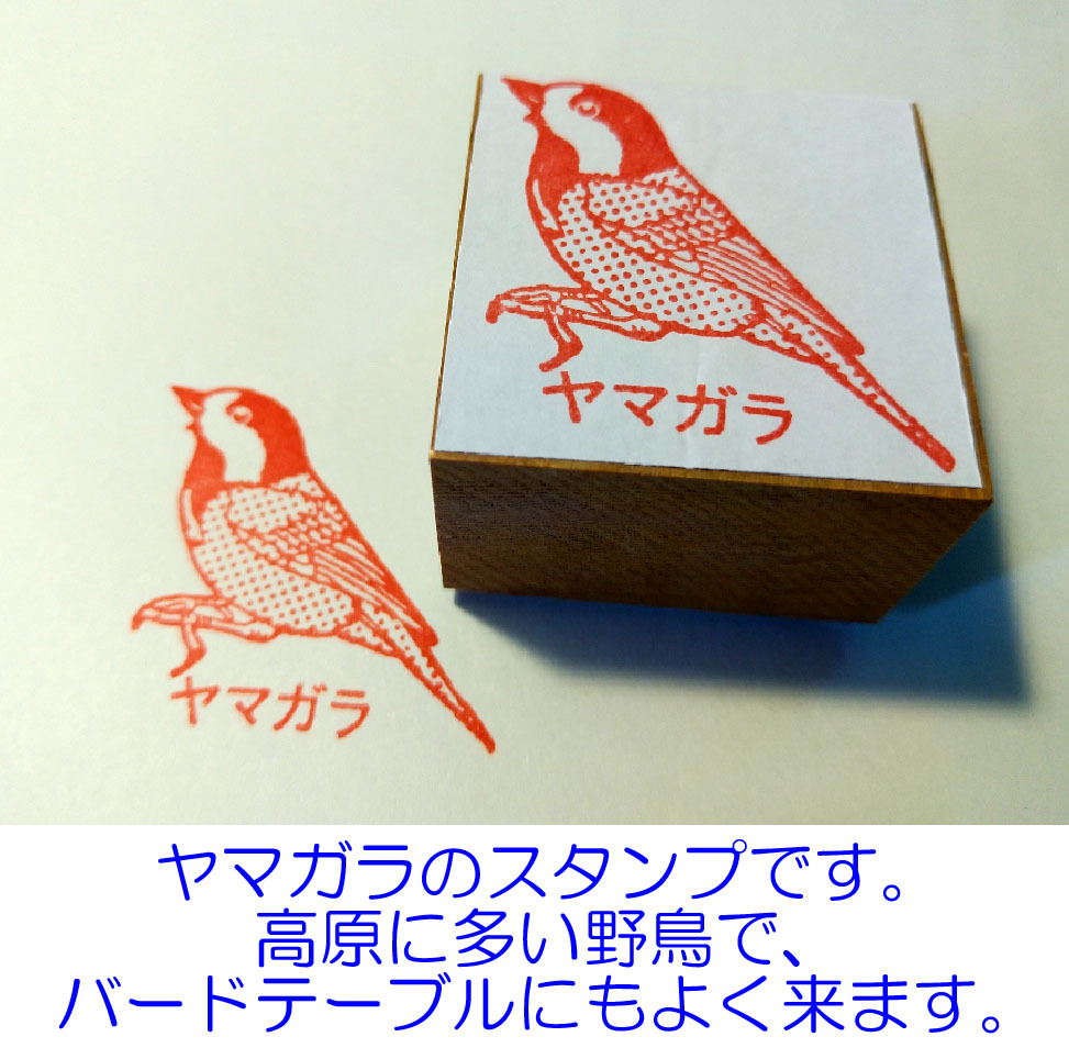 ＋「かわいい野鳥スタンプ・４個セット」（送料無料／文字入れ可能）です！#01_画像4