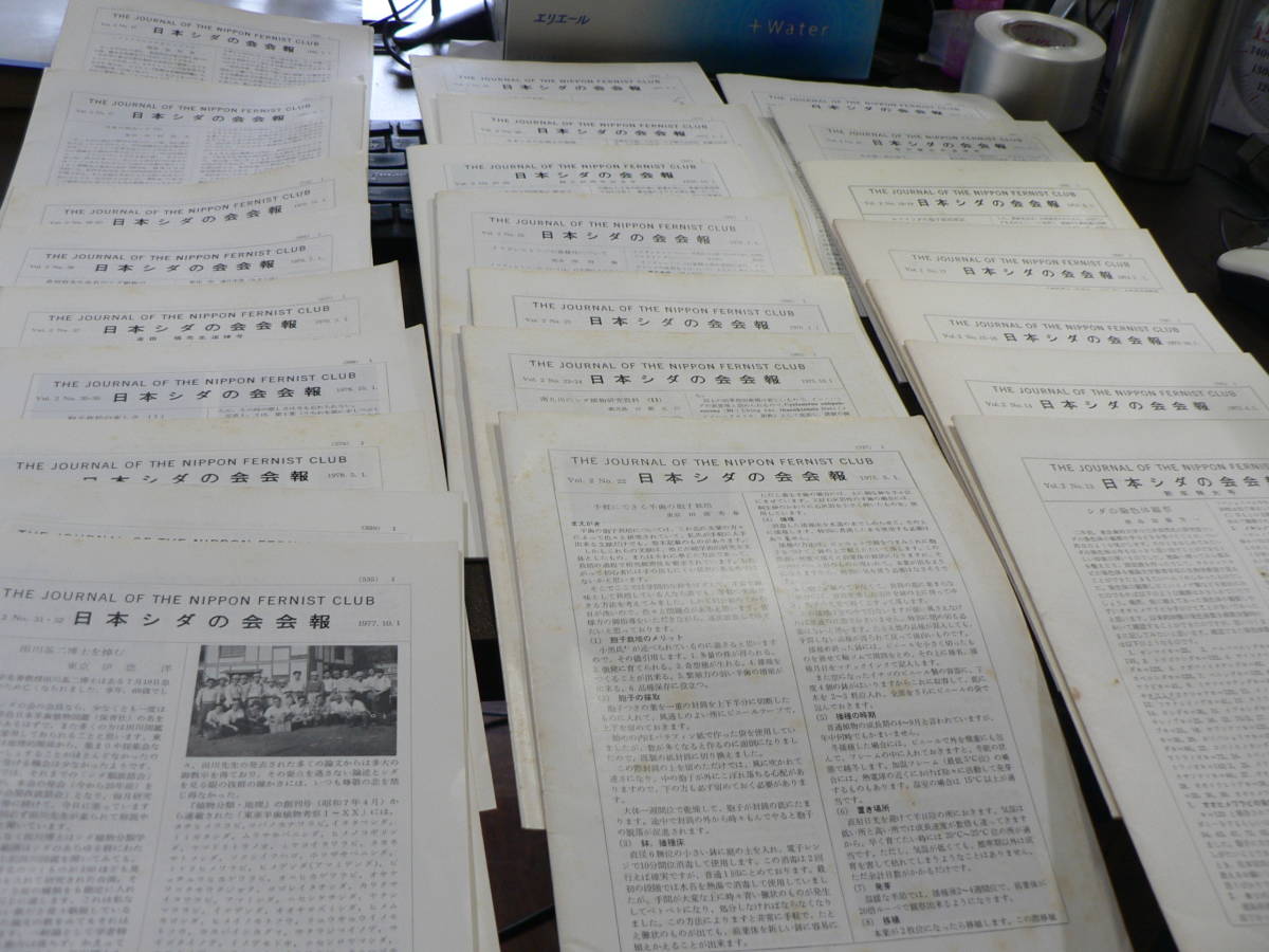 完璧 『日本シダの会会報』Vol.2 No.13-44 (1973年1.1-1980年12.1