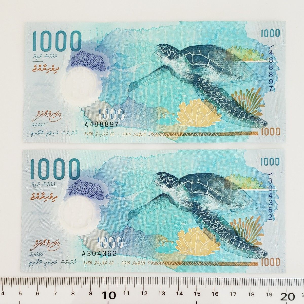 モルディブ紙幣1000ルフィヤ モルディブ 1000Rufiyaa 1000ルフィア紙幣 ジンベイザメ
