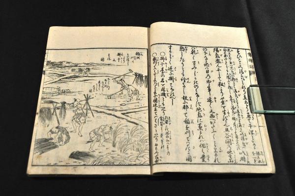贈る結婚祝い 豊稼録 大藏永常著 暁鐘成画 文政九年刋 和書 - cavalarc.com
