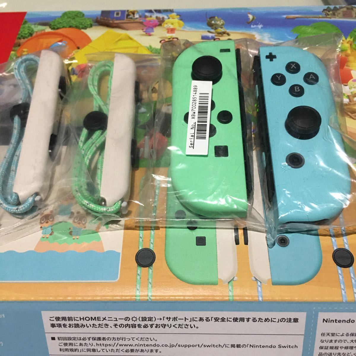 Nintendo Switch あつまれ どうぶつの森　joy-con 