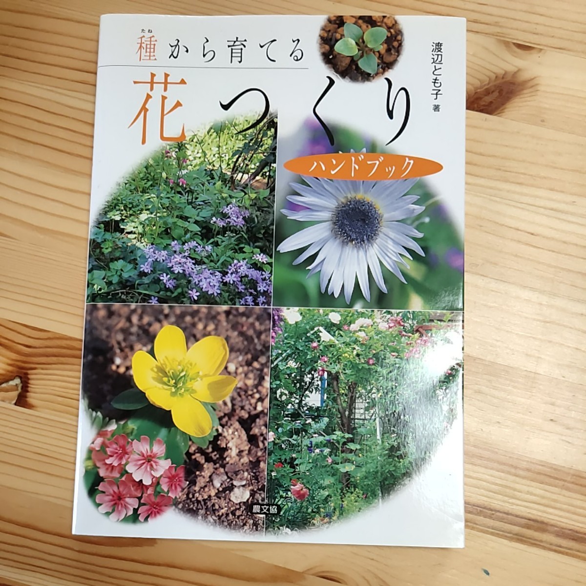 Paypayフリマ 種から育てる花つくり