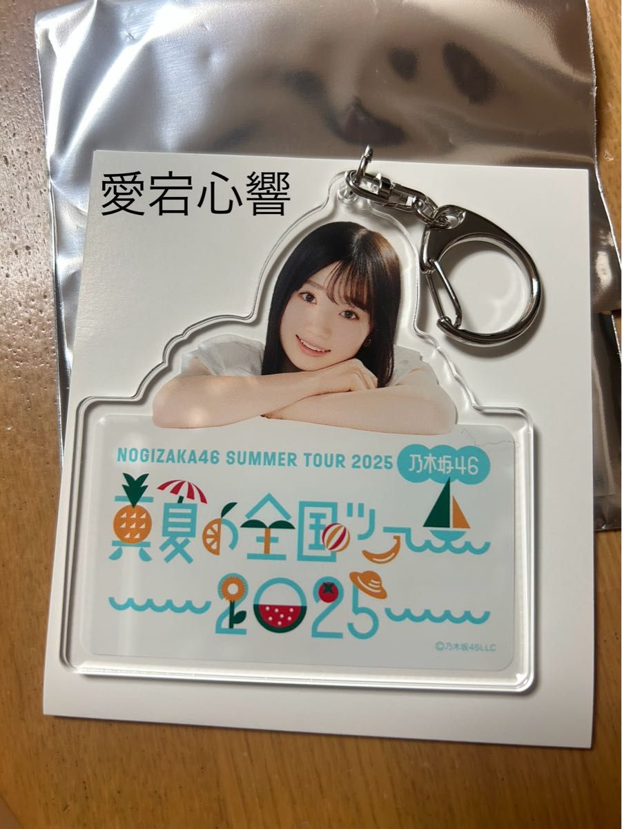 乃木坂46 購入特典 A賞 個別アクリルキーホルダー 愛宕心響 + おまけ付 乃木坂46購入特典 A賞 個別アクリルキーホルダー 愛宕心響 真夏
