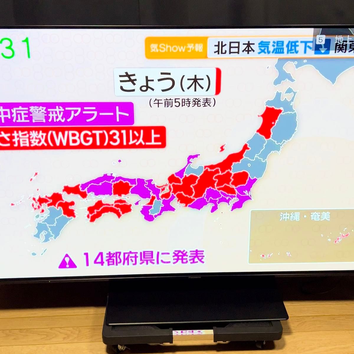 パナソニック ビエラ TH-55GZ1000 55V型 TV モニター 大画面 有機ELディスプレイ 液晶テレビ 55インチ 4K