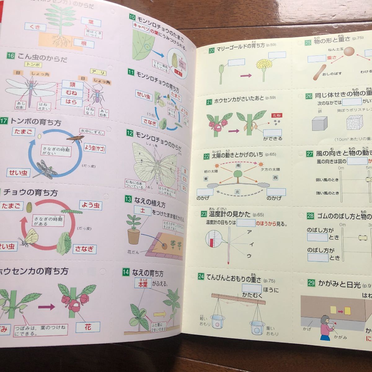Paypayフリマ これでわかる理科小学3年 Paypayフリマ これでわかる理科小学3年