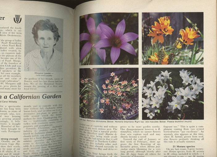 #Veld & Flora Vol.69 No.3(JOURNAL OF THE BOTANICAL SOCIETY OF SOUTH AFRICA) inspection : car stain Bosch 