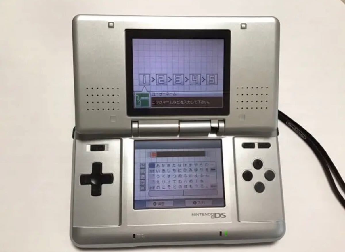 ニンテンドーDS(動作正常)