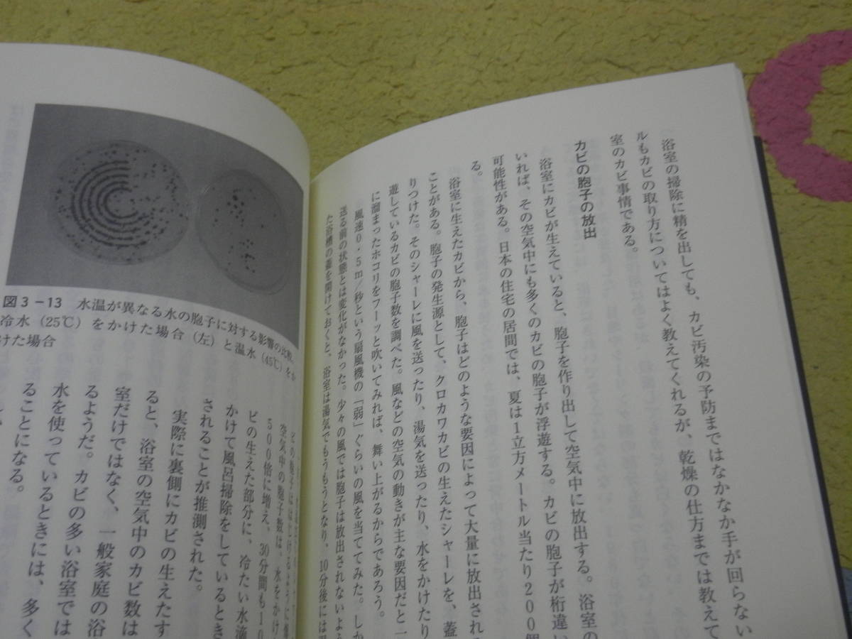 人類とカビの歴史 闘いと共生と　人に害を与えもすれば、画期的な医薬品も生んでいる。共存の歴史と身近な事例に見る黴とのつきあい方_画像3