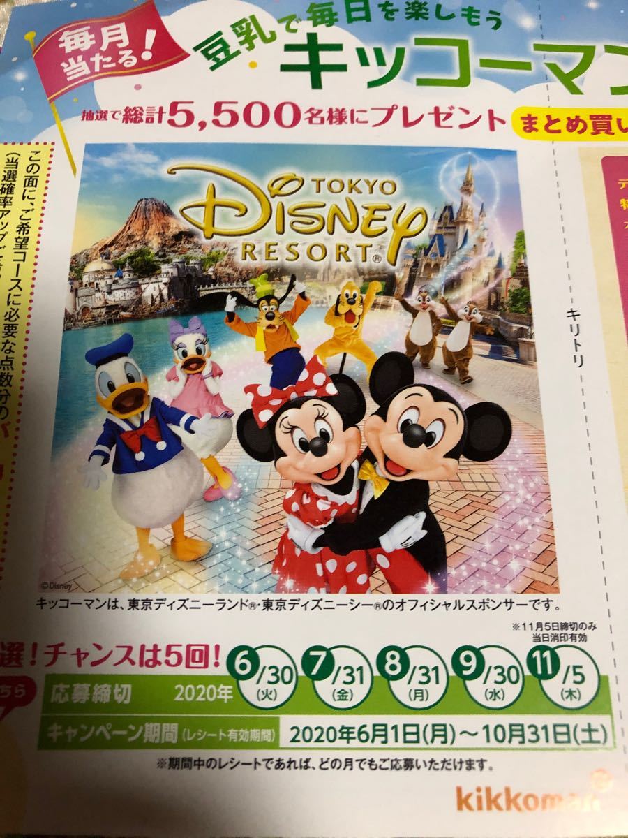 Paypayフリマ 当選確率5倍レシート3口分 ディズニー 全コースへの応募可能 Paypayフリマ 当選確率5倍レシート3口分 ディズニー 全コースへの応募可能