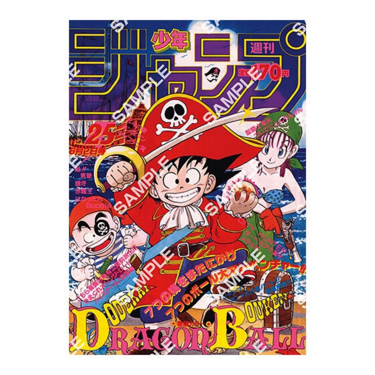 ドラゴンボール ポスターコレクション 全10種コンプリートセット ドラゴンボール ポスターコレクション 全10種 コンプリート