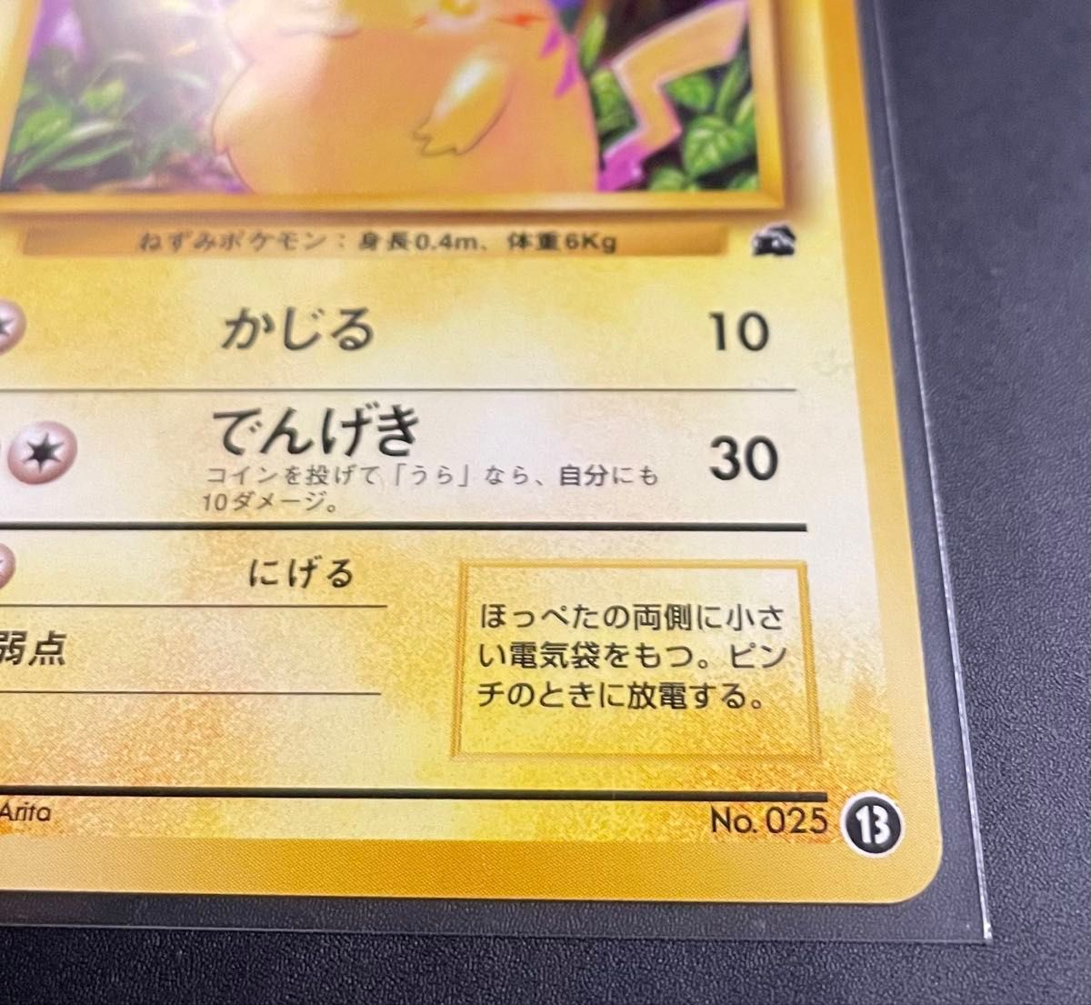ポケモンカード ピカチュウ キラ イントロパック 旧裏 まとめ売り フシギソウ ポケモンカード ピカチュウ キラ イントロパック 旧裏 まとめ
