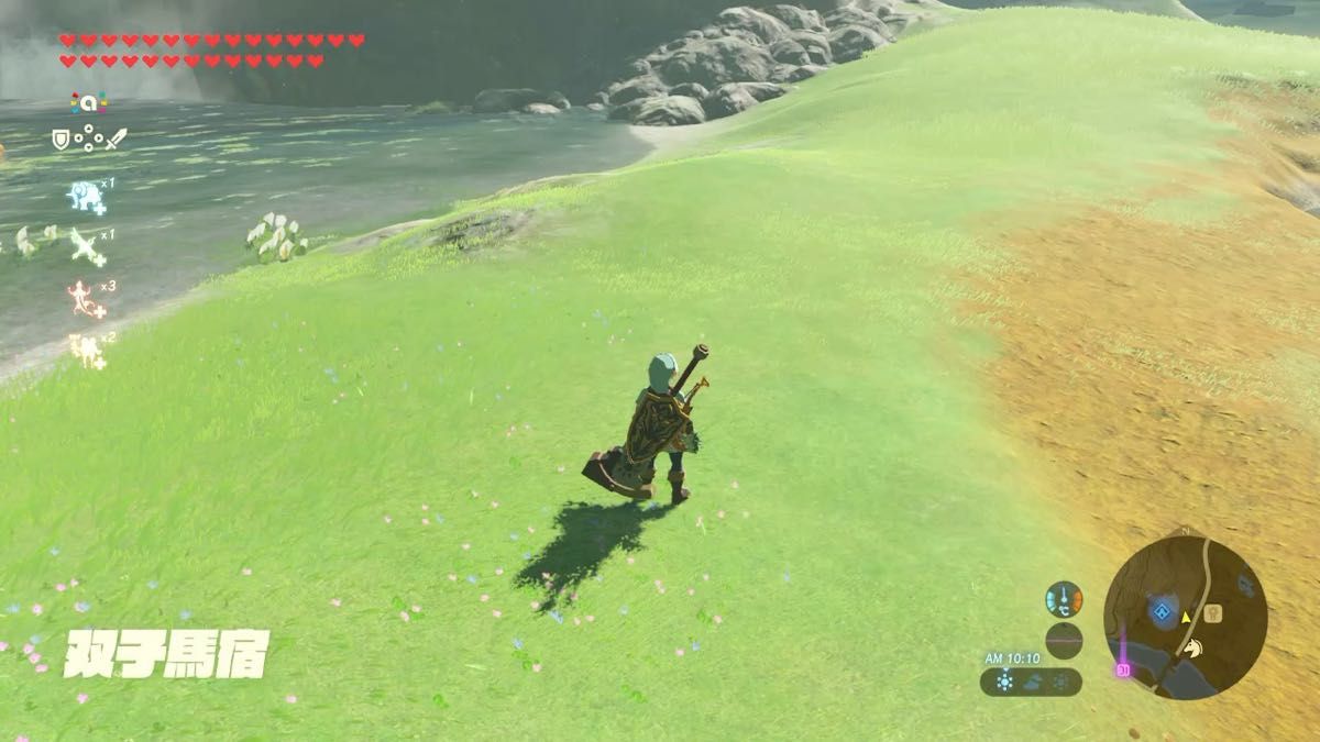 Nintendo Switch ゼルダの伝説 ブレスオブザワイルド+amiibo ハート20状態ウルフリンクセット