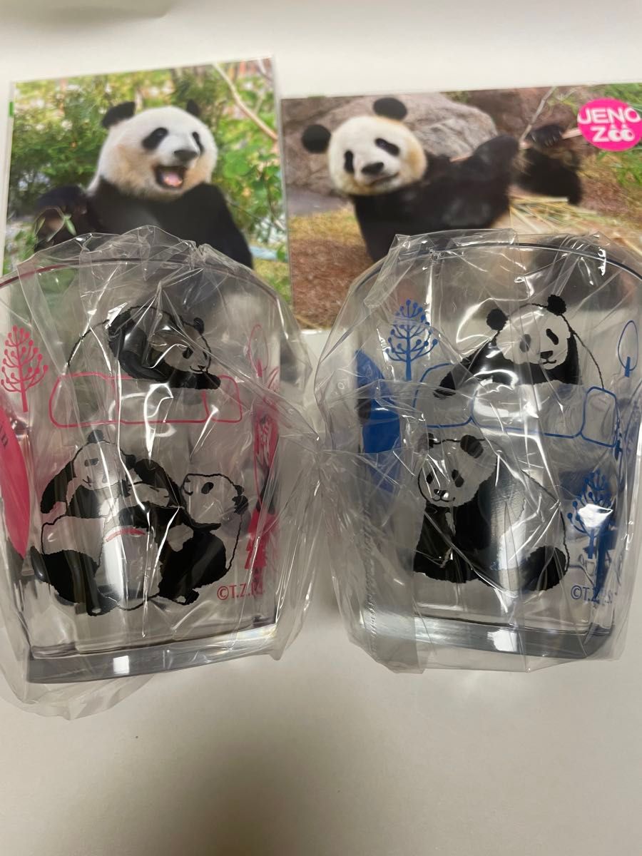 上野動物園 リーリーシンシン サンキューセット 新品 おまけ特典付き 上野動物園 リーリーシンシン サンキューセット 新品 おまけ特典
