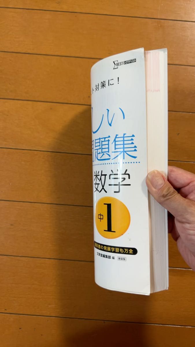 くわしい問題集数学 中学1年 新装 (シグマベスト) 文英堂編集部 編