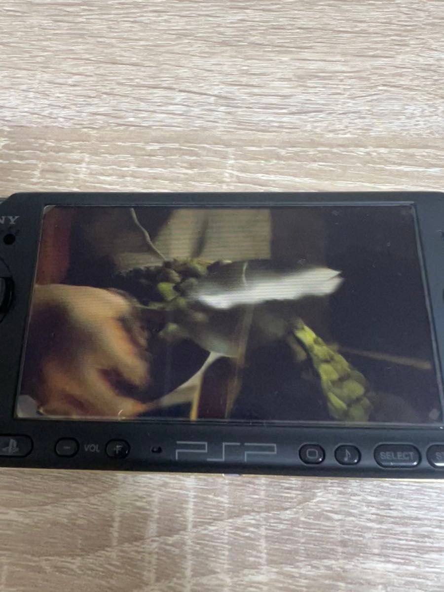 SONY PSP-3000 モンスターハンターポータブル3rdハンターズモデル
