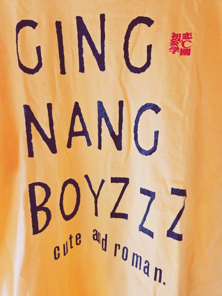 未使用!銀杏boyzTシャツ M ホワイト入手困難! Tシャツ ビンテージ 新品未使用 銀杏boyz 入手困難|Yahoo