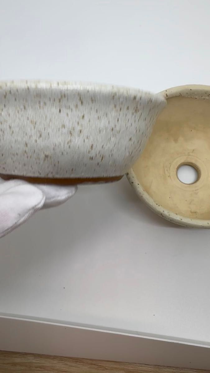 多肉鉢 盆栽鉢 サボテン鉢 陶器 ミニ鉢 植木鉢