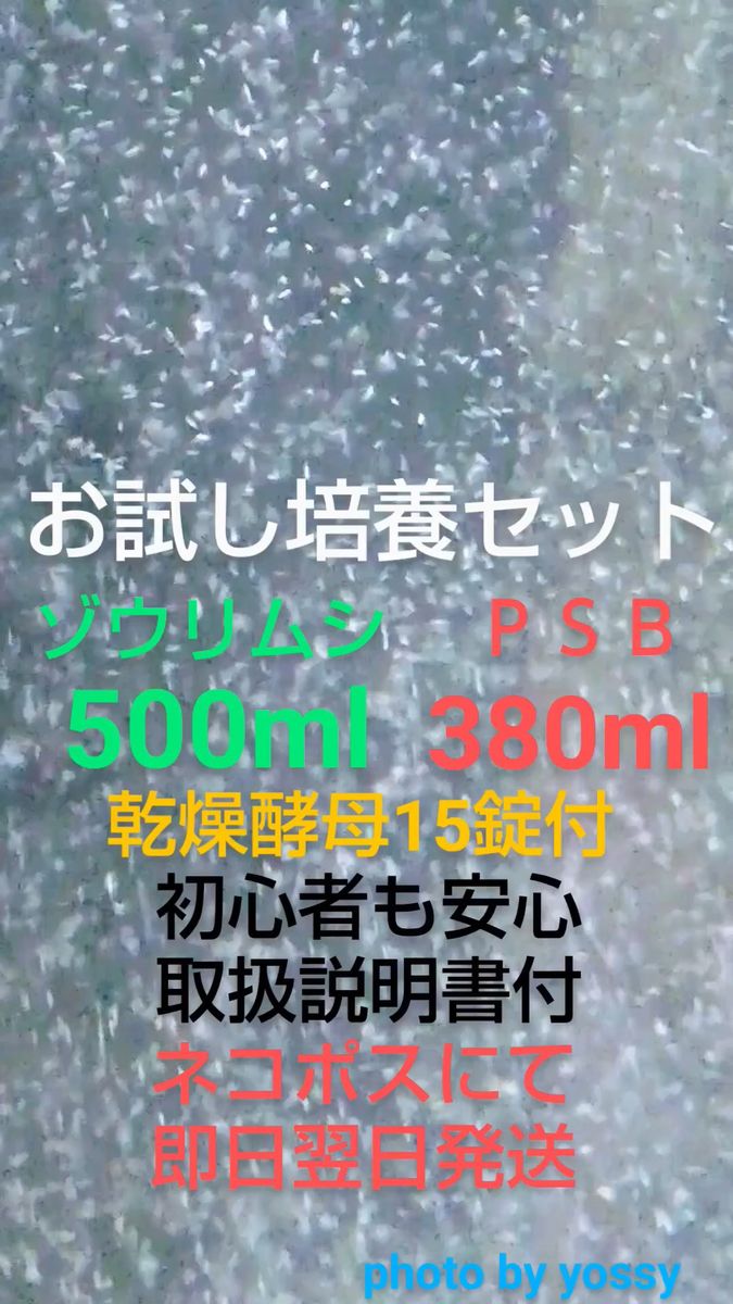 ゾウリムシ種水500ml/PSB380mm(パウチパック容器仕様)乾燥酵母15錠お試しセット
